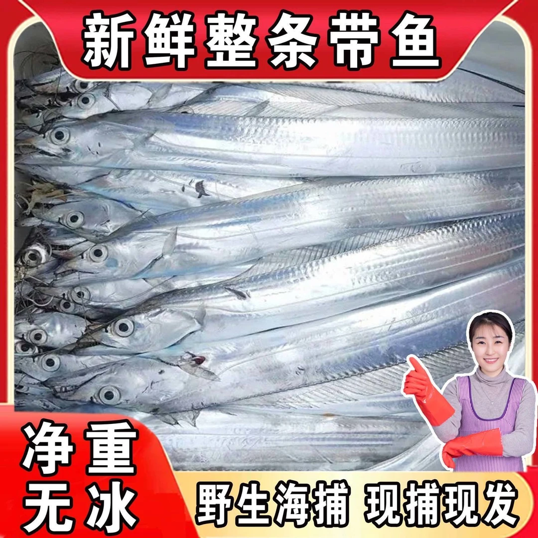 鲜带鱼5斤码头海鲜直发