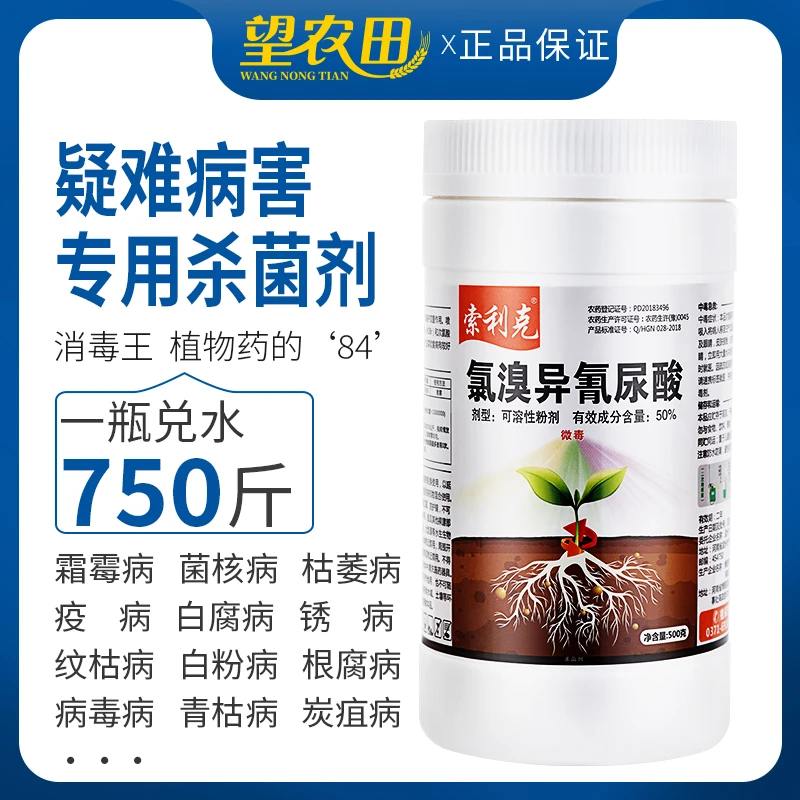氯溴异氰尿酸病毒病野火病细菌真菌病毒霜霉软腐病土壤消毒农资