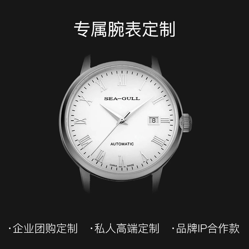 【凑单专属】Sea-Gull海鸥表男士自动机械表定制（请勿擅拍）