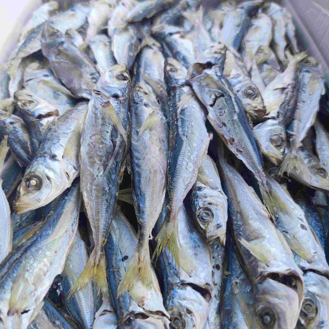 海石兄弟【买三送一  顺丰包邮】诏安黄尾巴浪鱼干 一包500g食用