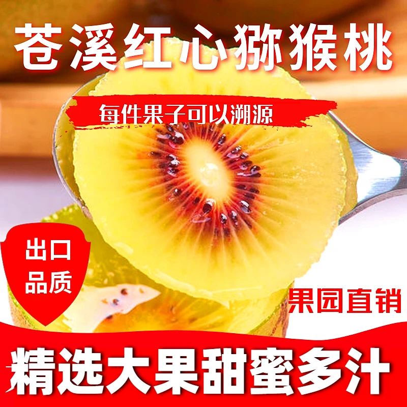 苍溪红心猕猴桃 产地直销 新鲜水果 大果 鲜果10斤果蒲江特产黄肉