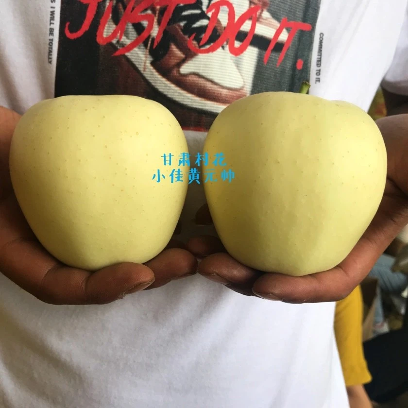 甘肃高山老品种黄元帅苹果12枚/16枚/18枚/24枚