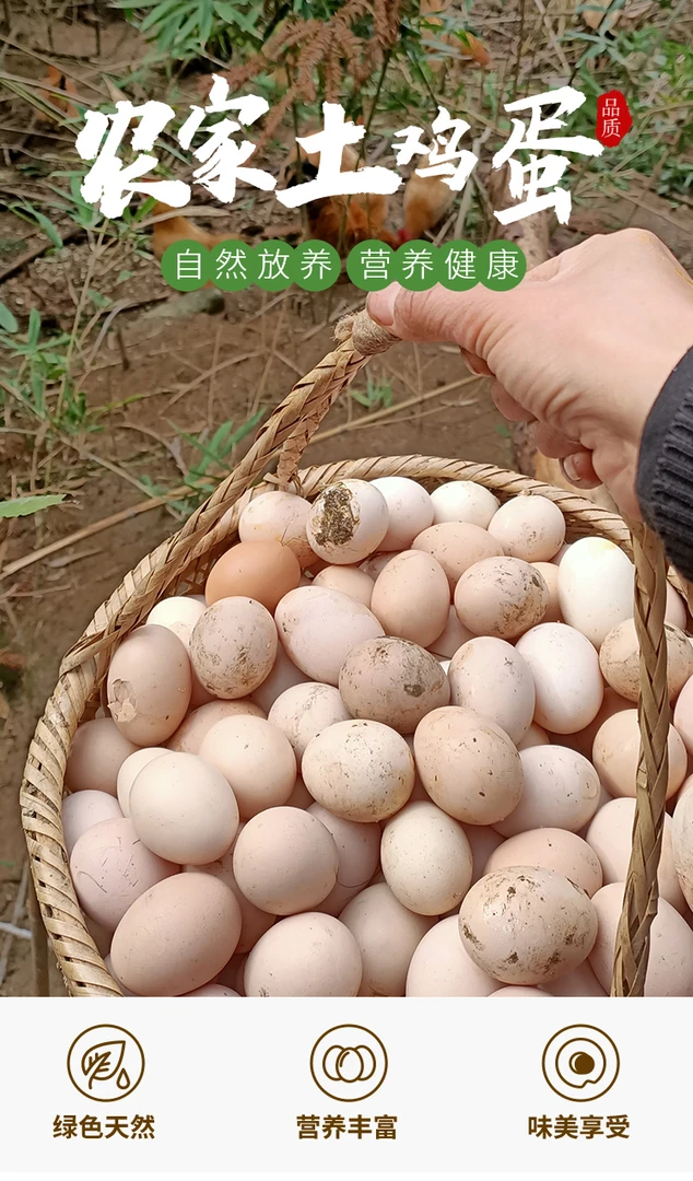 土鸡蛋50个笨鸡蛋草鸡蛋