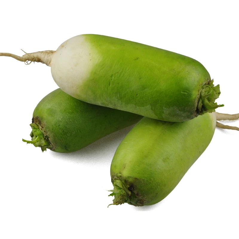 珍口福河南特产新鲜青萝卜新鲜萝卜罐萝卜现拔现发5/9斤装