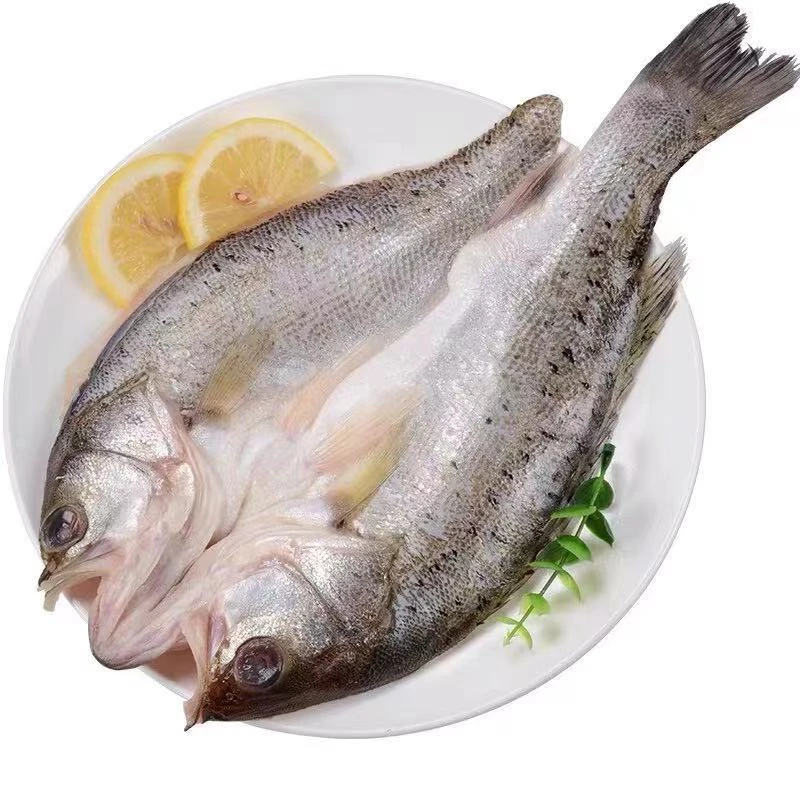 【5条】新鲜开背海鲈鱼 免处理 400-500g/条 美味海鲜 蒜瓣肉