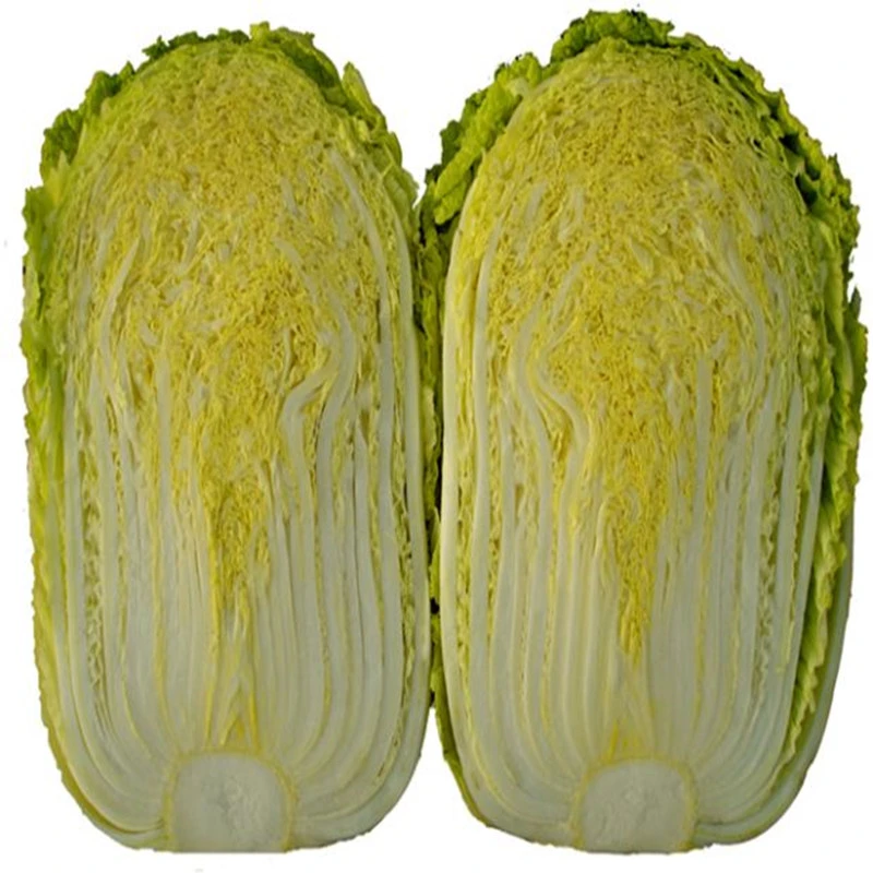 大白菜新鲜现挖发货5斤包邮农家种植蔬菜冬储黄心山东大白菜