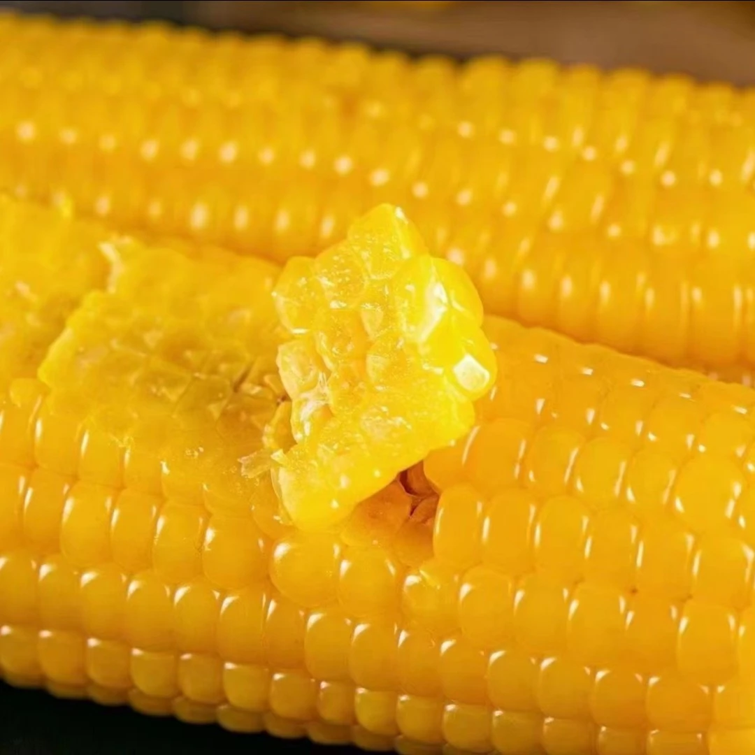 百粟宝 内蒙古河套 新鲜糯玉米 10根装 200g/根 真空包装