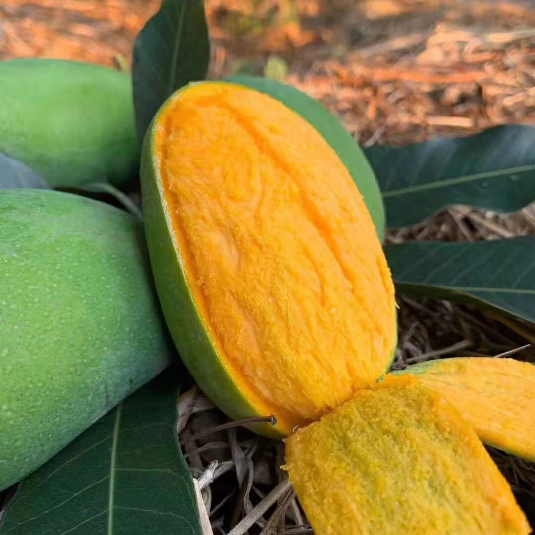 云南临沧永德椰香芒果鸡蛋芒果3/6/9斤