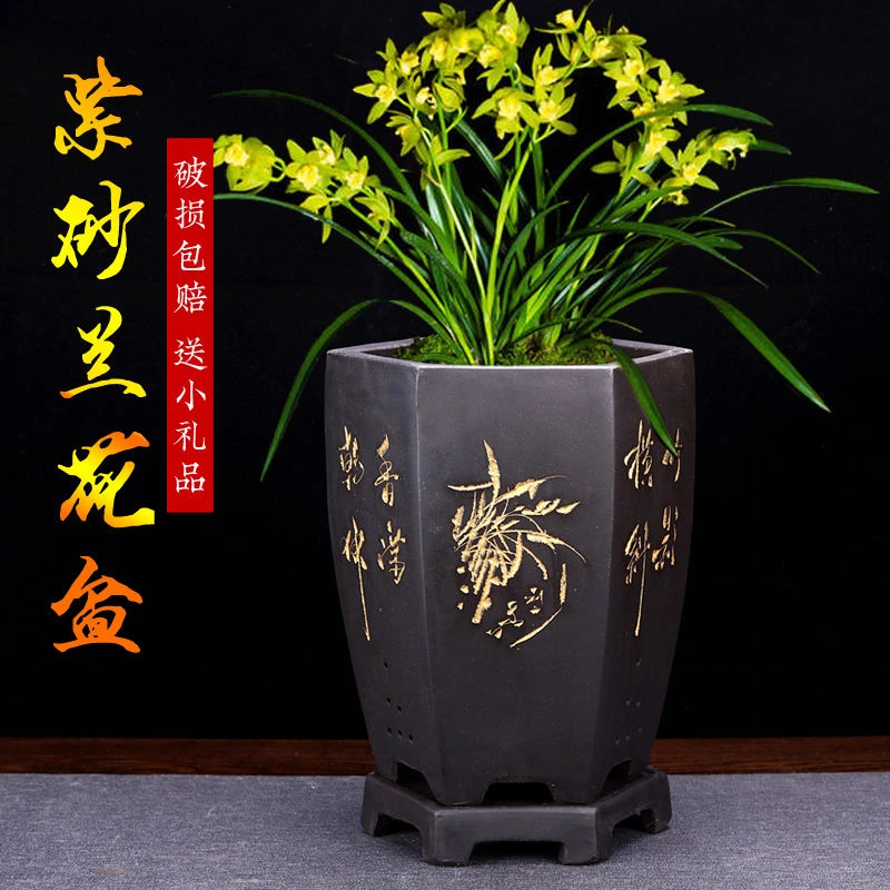 宜兴花盆兰花专用多肉植物盆景盆陶瓷家用阳台盆景带托盘促销包邮