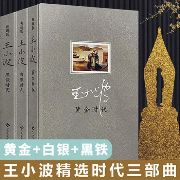 全3册  黄金时代 王小波全集王小波的书 王小波三部曲 集杂文精