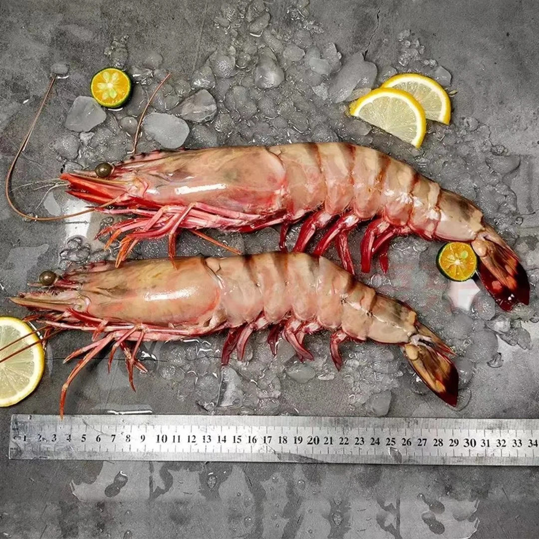 特大号黑虎虾手臂一样长 单只虾4两/7两 深海野生 净重1kg/700g
