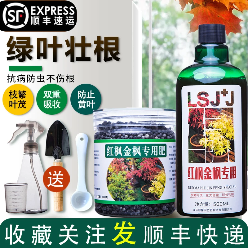 三角枫四季红枫黄金枫树花专用肥料营养液家用高浓缩缓释肥颗粒肥