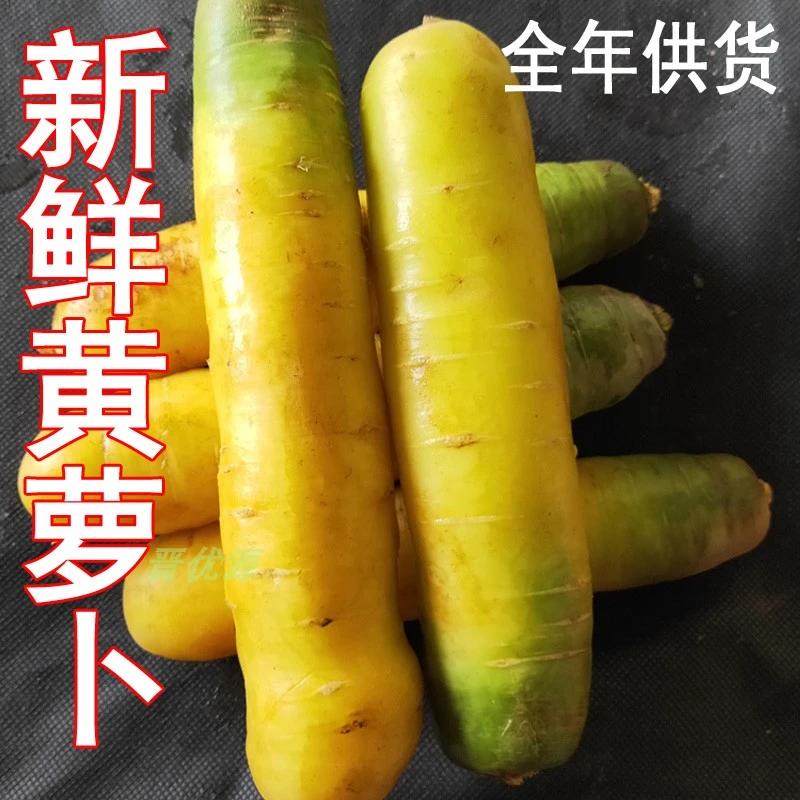 新疆包赔新鲜黄萝卜新疆口味手抓饭黄胡萝卜净含量5斤包邮