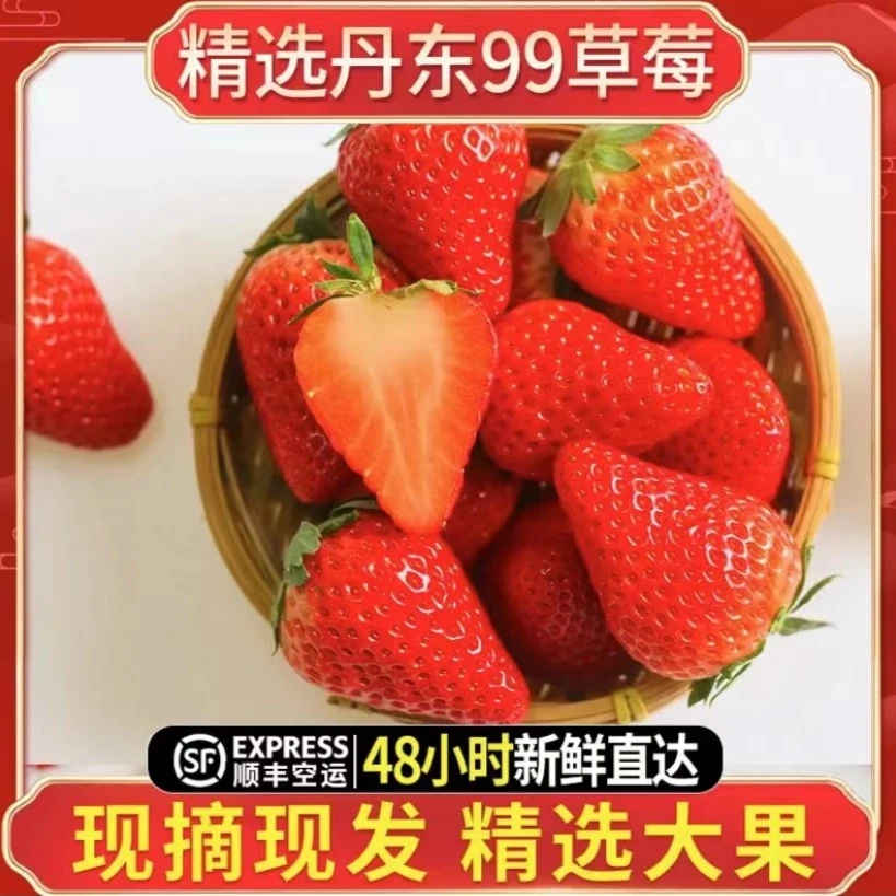 正宗丹东99草莓牛奶草莓精选果现摘现发2/3斤顺丰包邮