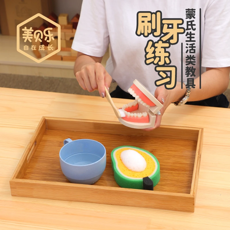 勒酷幼儿园早教教具认识牙齿托盘牙刷假牙模型