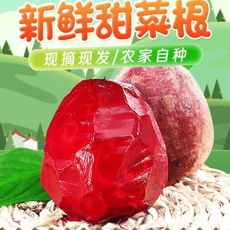 新鲜甜菜根红菜头紫菜头田菜根红心萝卜蔬菜健身蔬菜榨汁泡菜