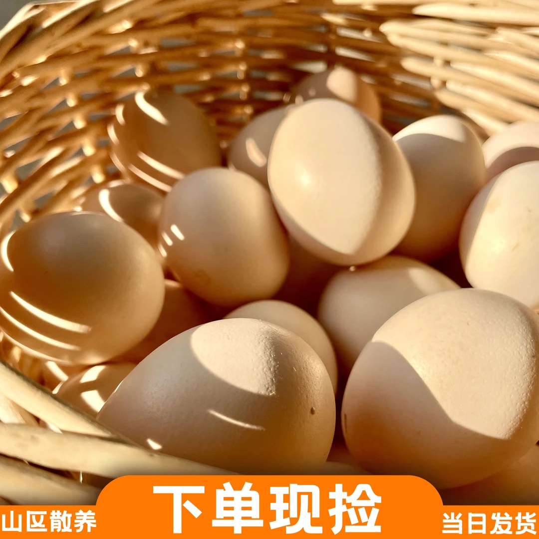 XITAIHANG/喜太行 狼牙山散养土鸡柴鸡蛋食用纯粮现捡现发 45-50g