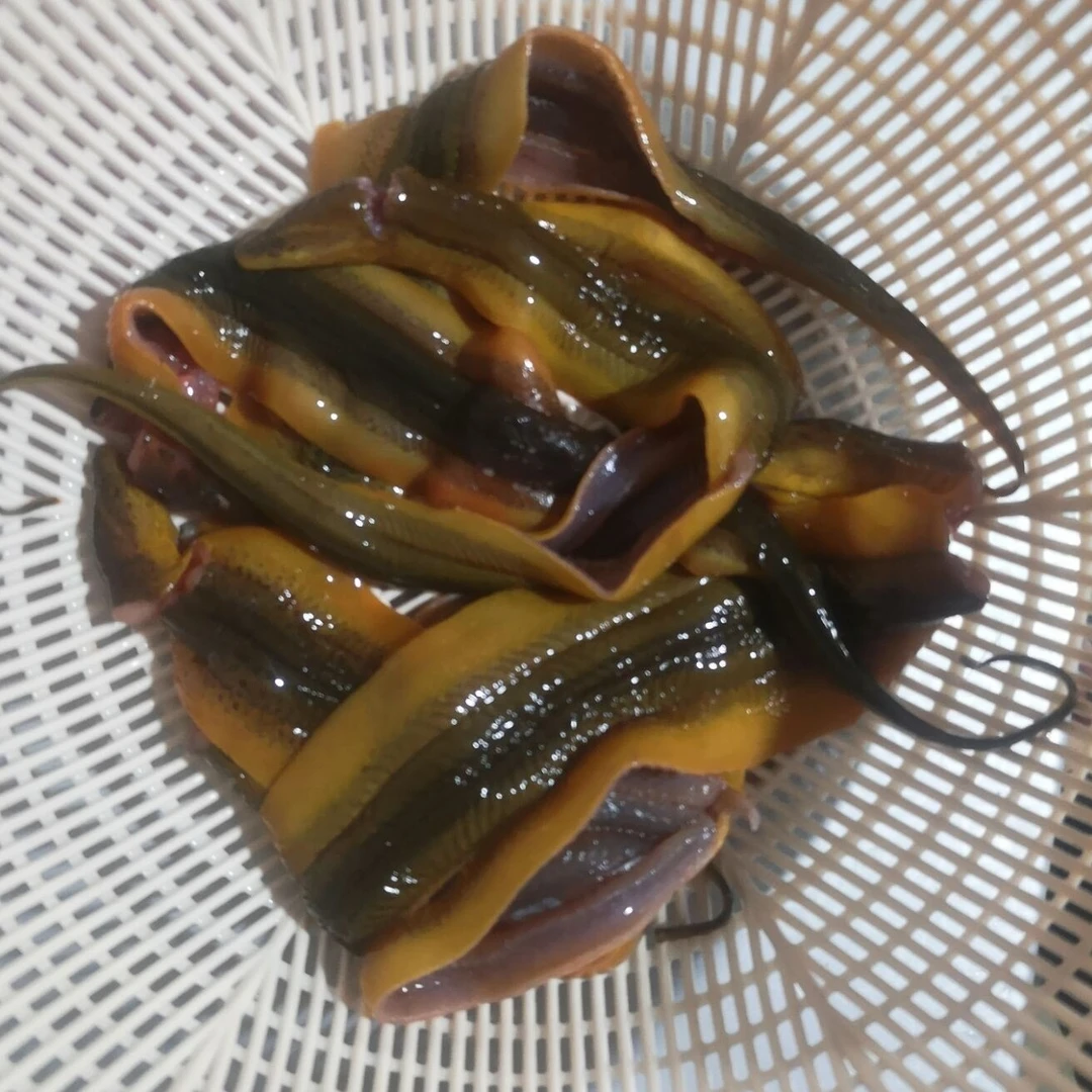 安徽土货鳝鱼片  净重约1.5斤  顺丰冷链到家