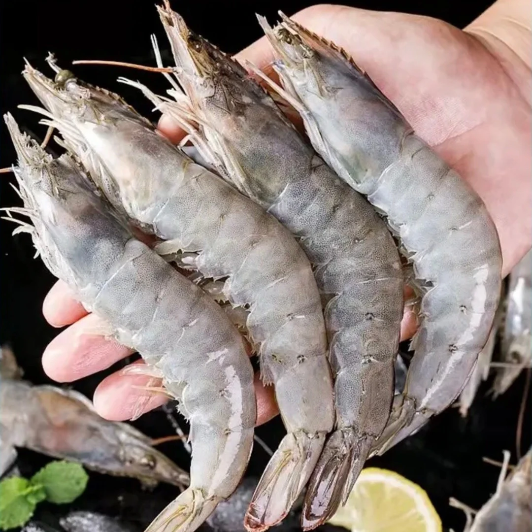 2030盐冻海洋大虾净重3.3斤/盒  连云港冷冻发货