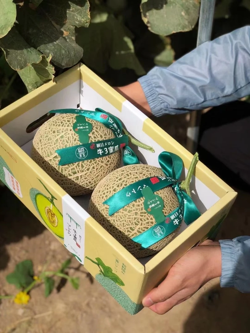 海南牛3网纹蜜瓜2个5斤哈密瓜当季鲜鲜水果冰淇淋牛奶甜瓜整箱包