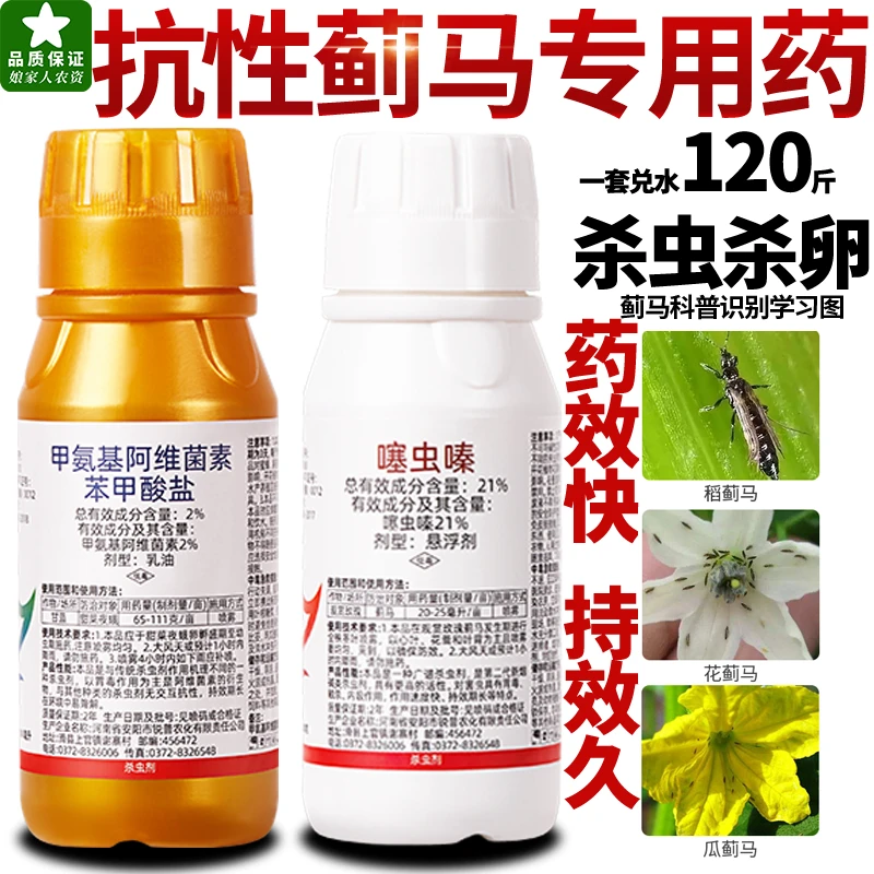 蓟马专用药虫卵双杀大棚噻虫嗪甲维盐月季花卉蔬菜果树农药杀虫剂