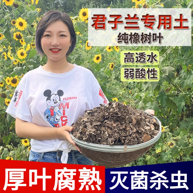 直播专用【君子兰用】橡树叶腐叶土松针腐殖土花卉有机弱酸性营养土