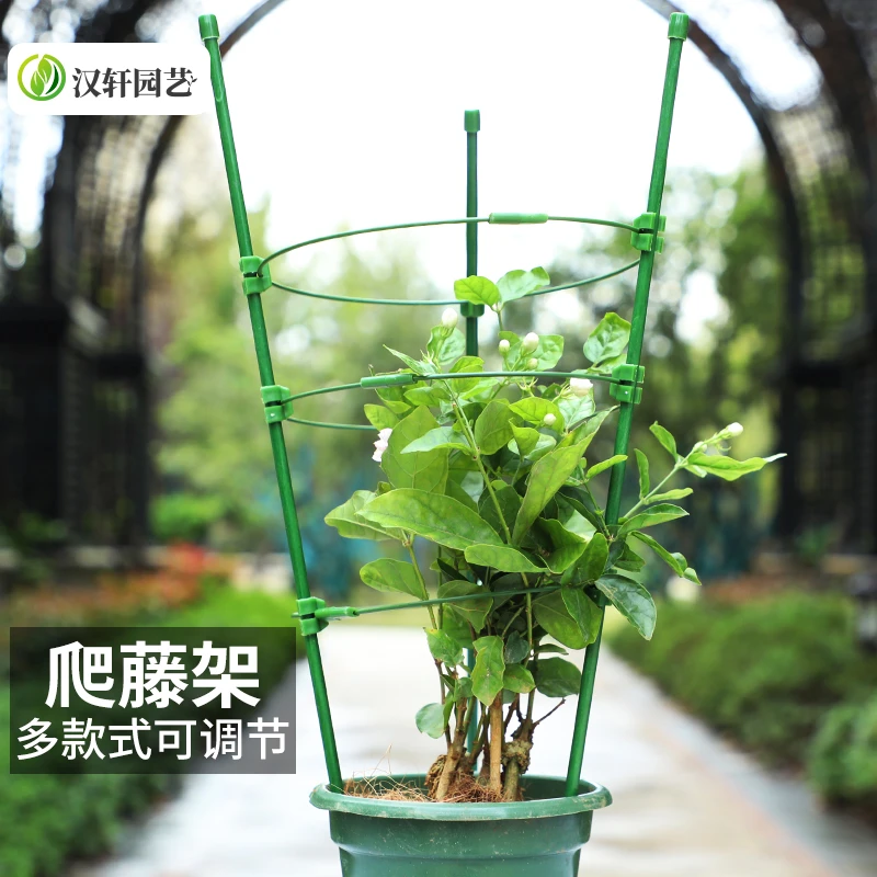 汉轩爬藤架 家用铁艺花盆花架爬藤室内客厅支架月季铁线莲庭院支