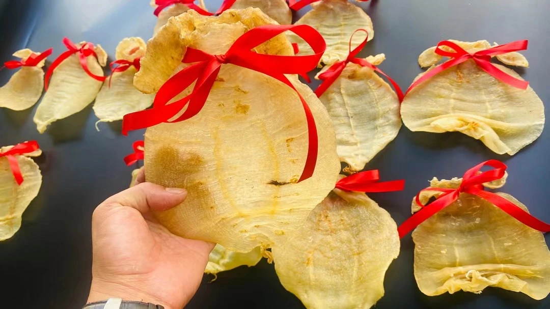 汕头 南澳5头金兰赤嘴500g
