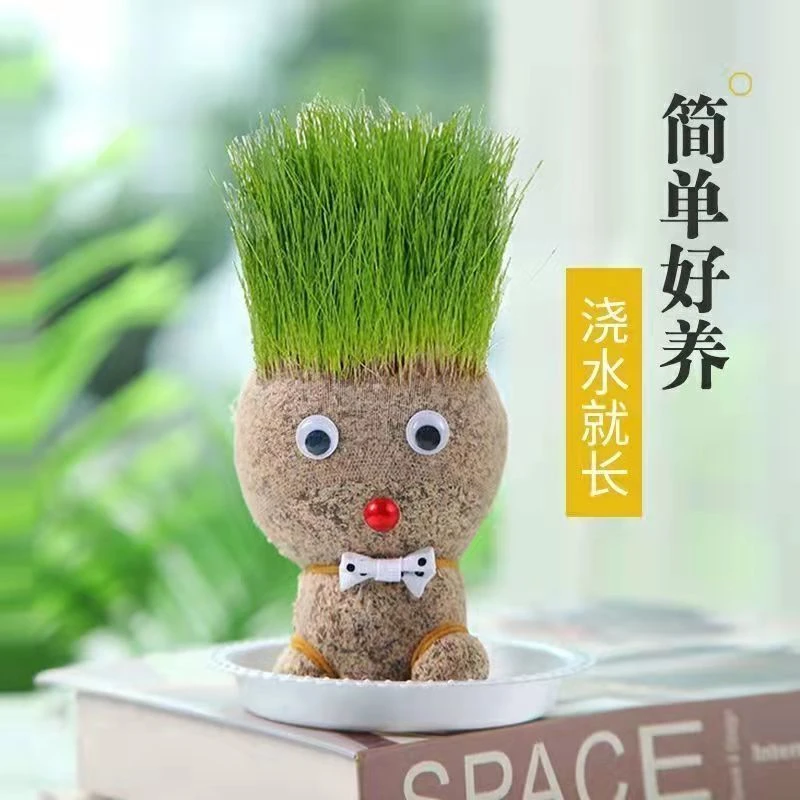 猫草口腔清洁去毛球草头娃娃种植猫草可爱创意通用