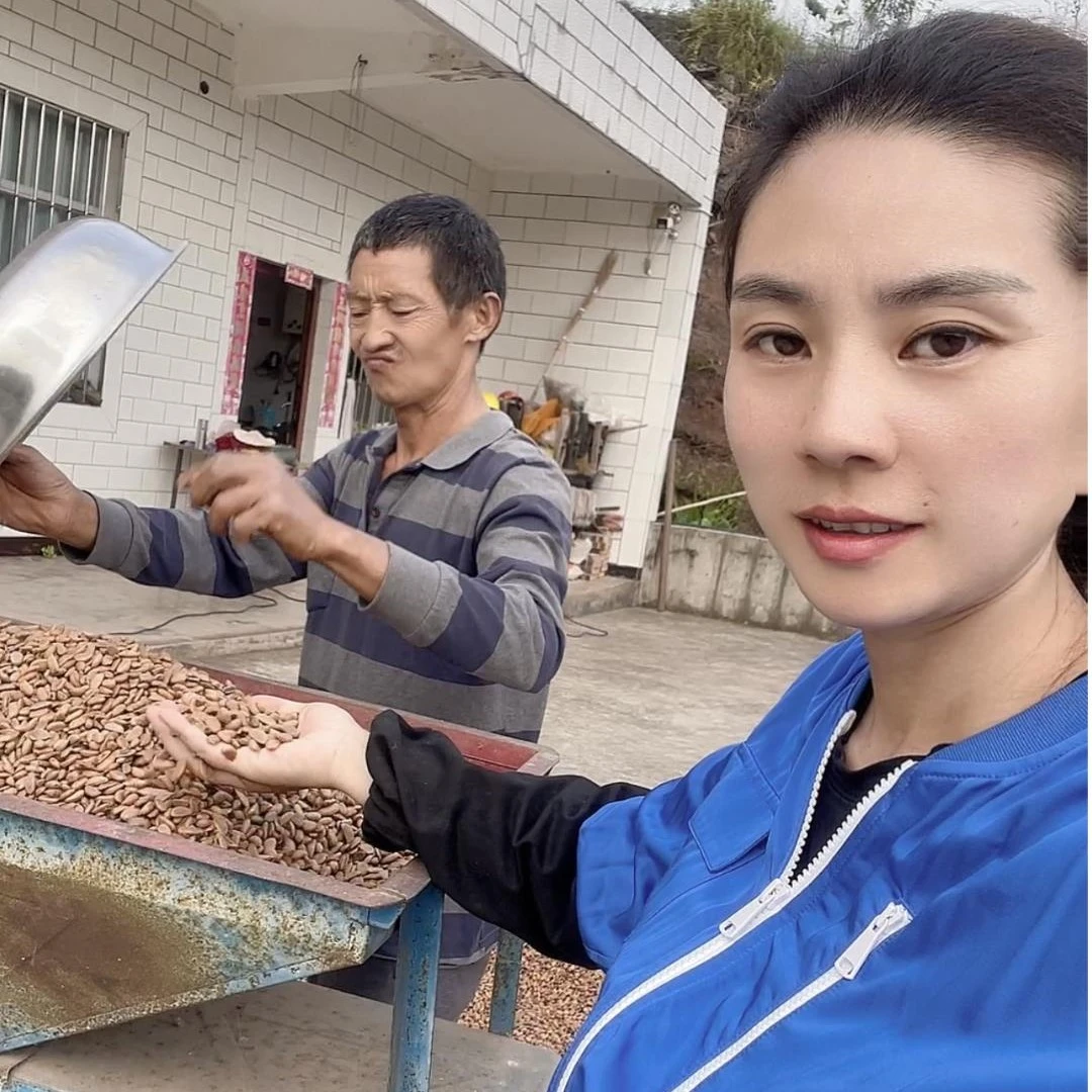 金弹子盆景  2025年新鲜籽播籽