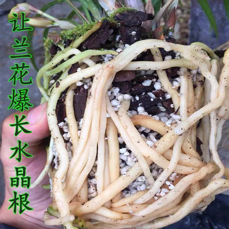 兰花种植专用土兰花土植料兰花营养土兰花土老配方营养土兰花包邮