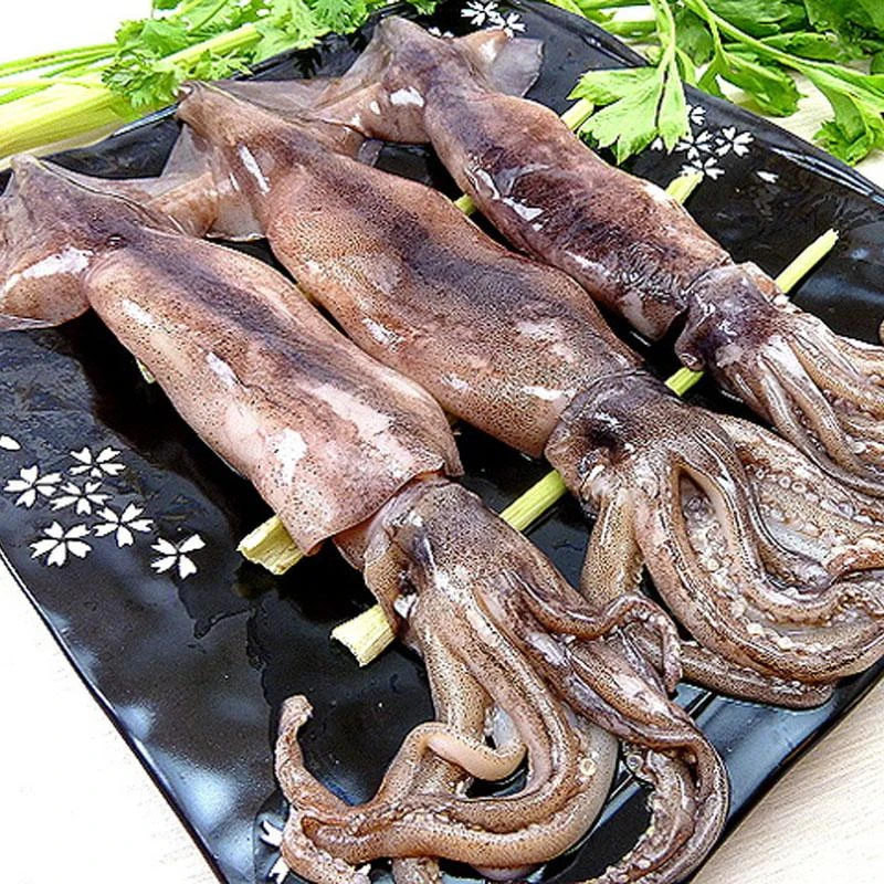 连云港发货大鱿鱼（8斤）