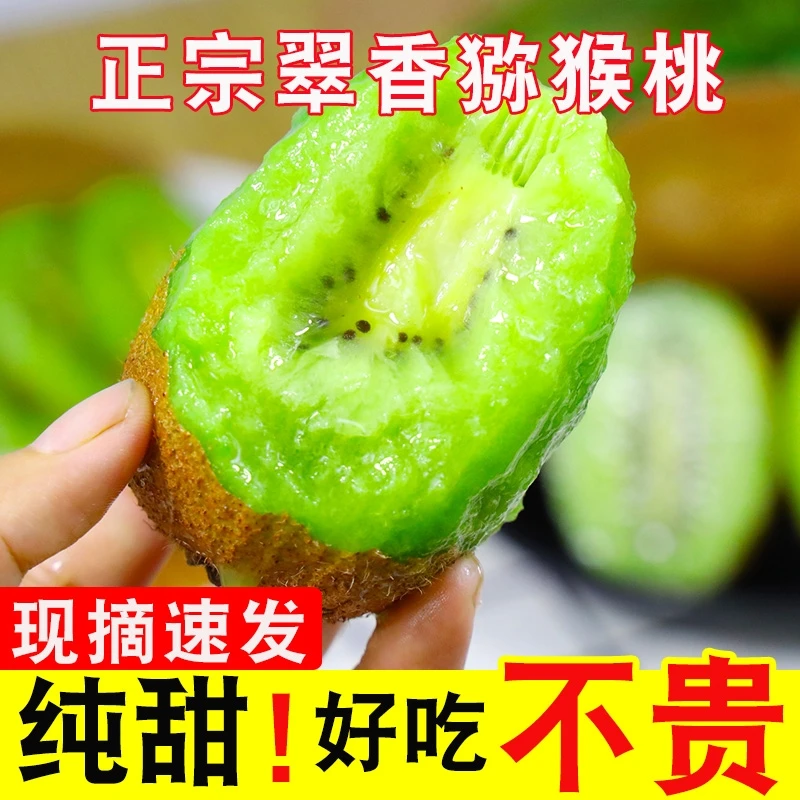 陕西周至精品绿心翠香猕猴桃5斤包邮