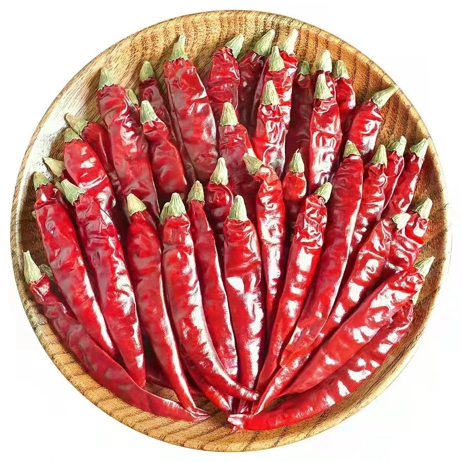 印度椒 500g  （魔鬼辣椒干辣椒面）
