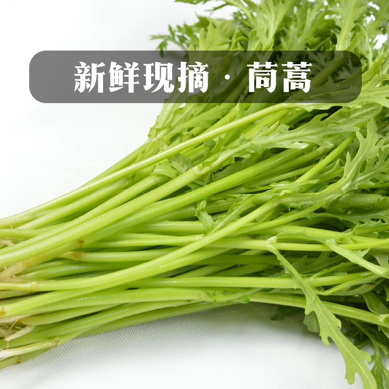 珍口福河南特产新鲜茼蒿芦蒿菜藜蒿菜新鲜蔬菜火锅菜3/5斤装