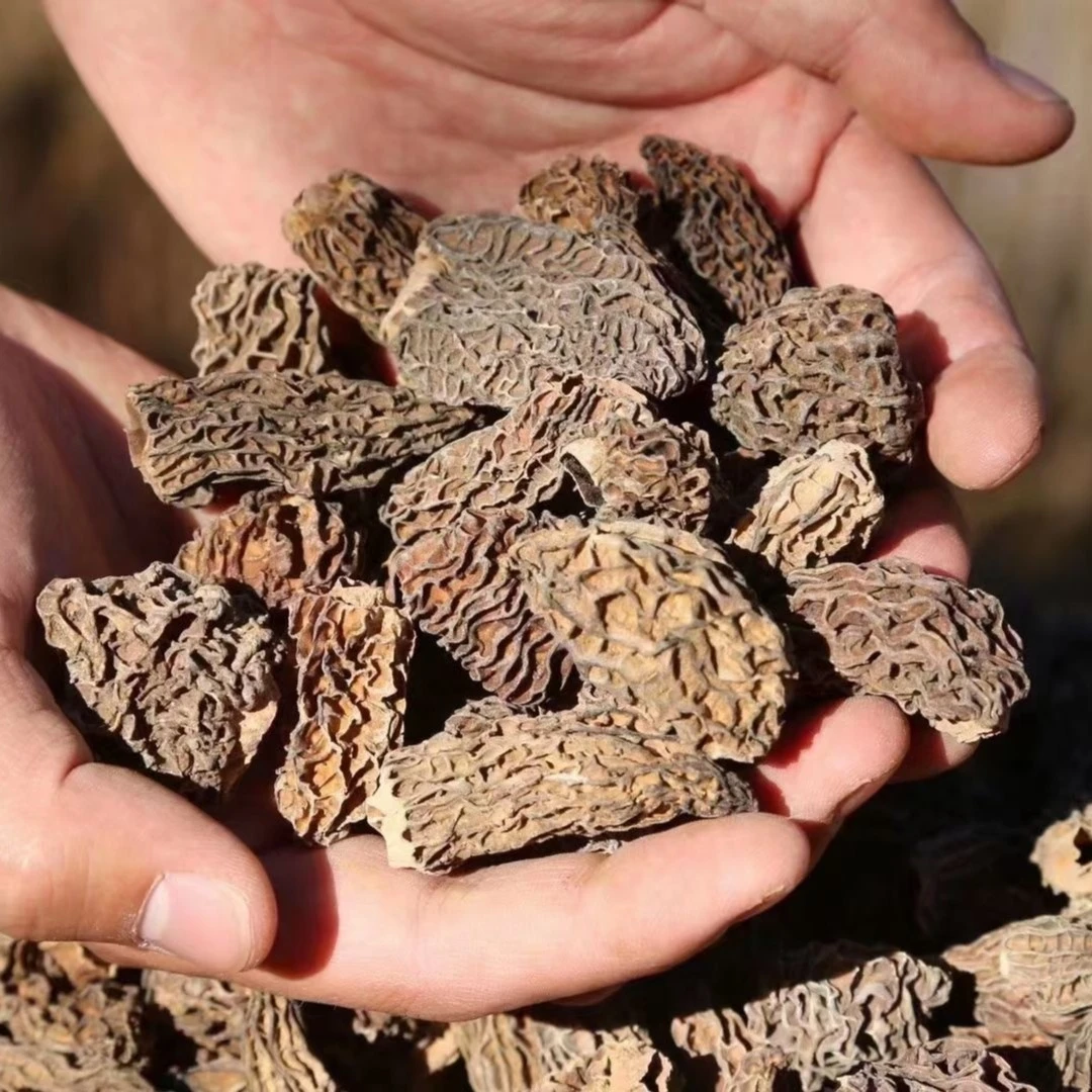 2021云南高原土生土长羊肚菌干货50-1000克顺丰包邮