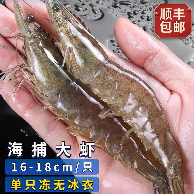 老王家的海捕大虾 日照发货 鲜活速冻