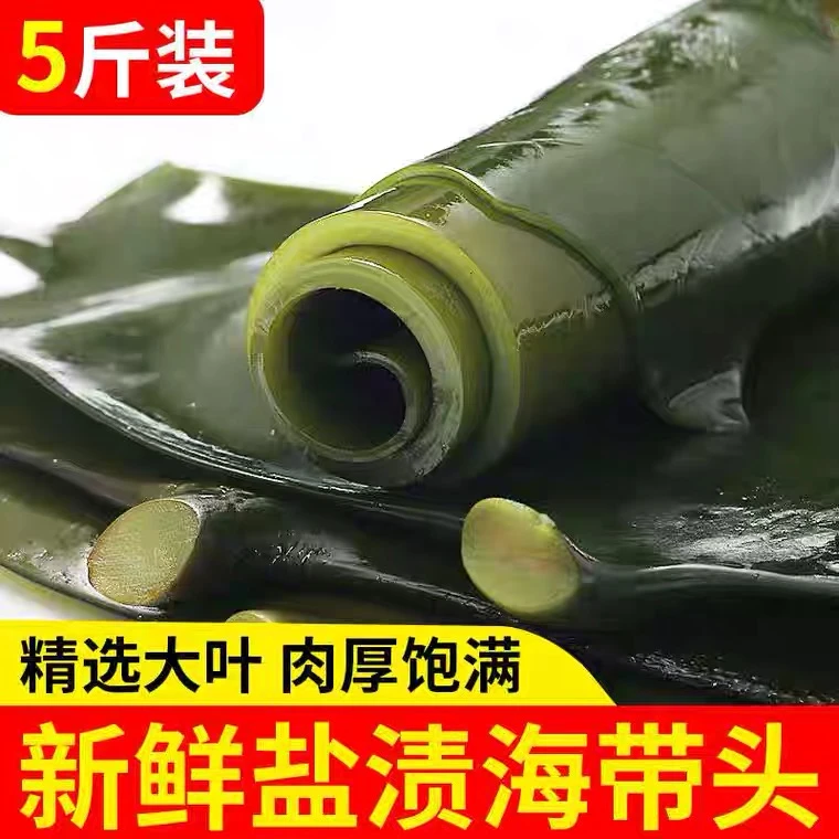 大连盐渍海带头火锅煲汤炖菜4.5斤/箱