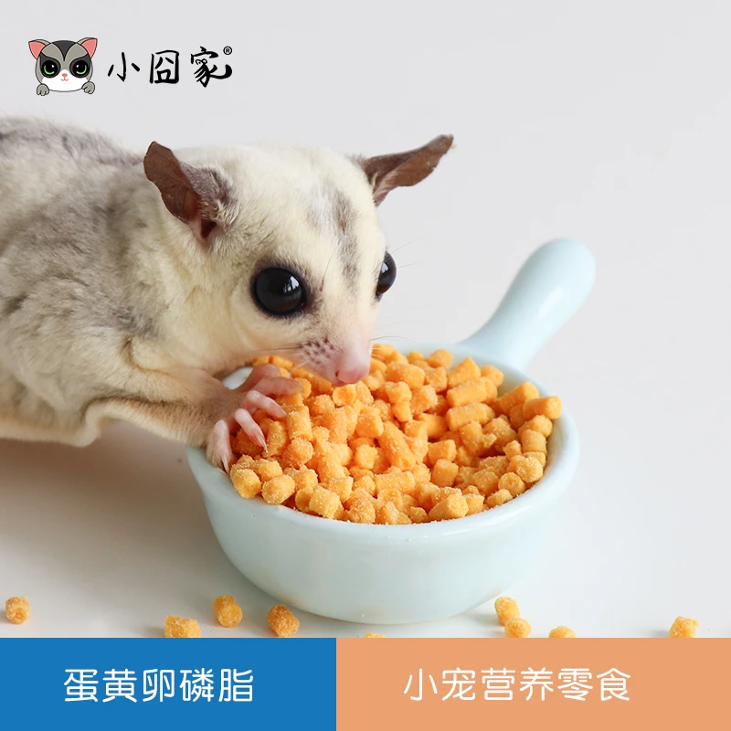 小囧家蜜袋鼯松鼠花枝鼠宠物零食仓鼠刺猬小宠物用品卵磷脂颗粒