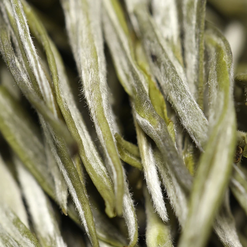 高黎贡山 2023年 明前绿茶罐装 云南大叶种绿茶80g