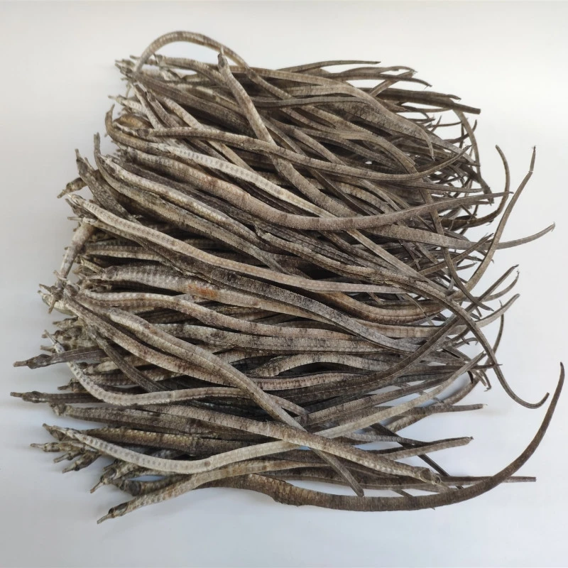 野生干小海龙食材煲汤新货山东产干小海龙50g泡酒煮汤海鲜