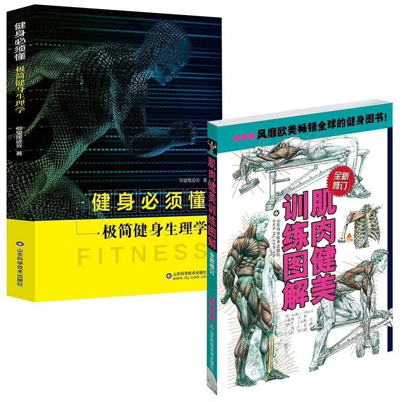 肌肉健美训练图解,健身必须懂-极简健身生理学(自由组合)