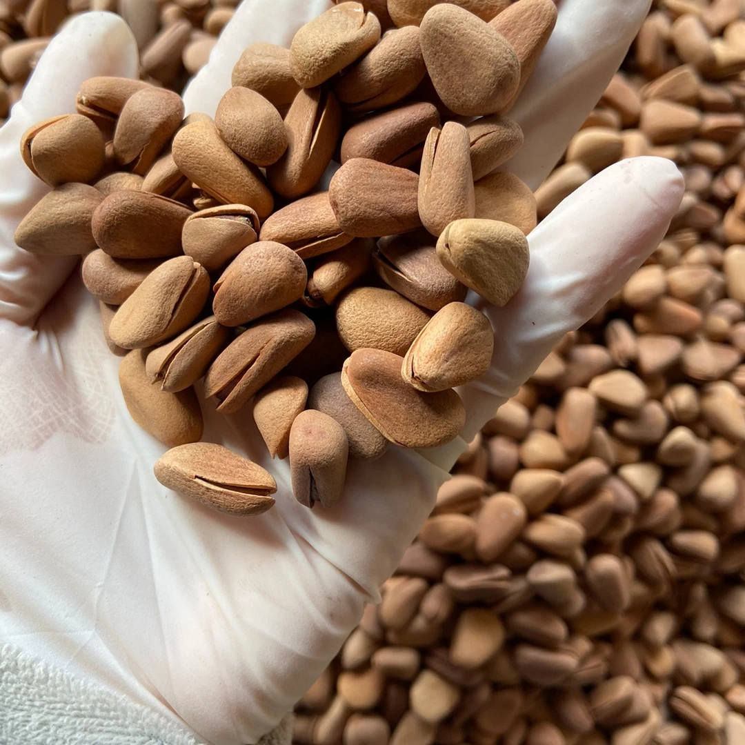 大颗粒开口双王松子 手剥松子 无添加500g/袋