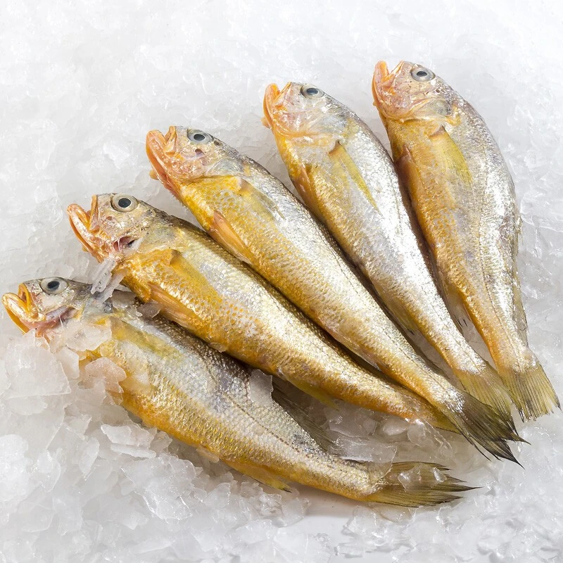 连云港 新鲜速冻小黄鱼500g/包