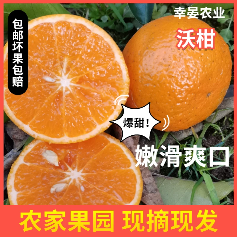 沃柑超甜爆汁皮薄农家天然脆嫩现摘新鲜水果带香甜箱10斤