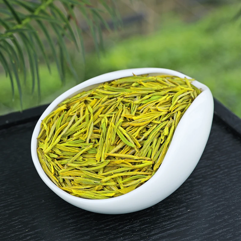 FL2 黄金芽绿茶2023新茶高山茶叶明前口粮黄金芽