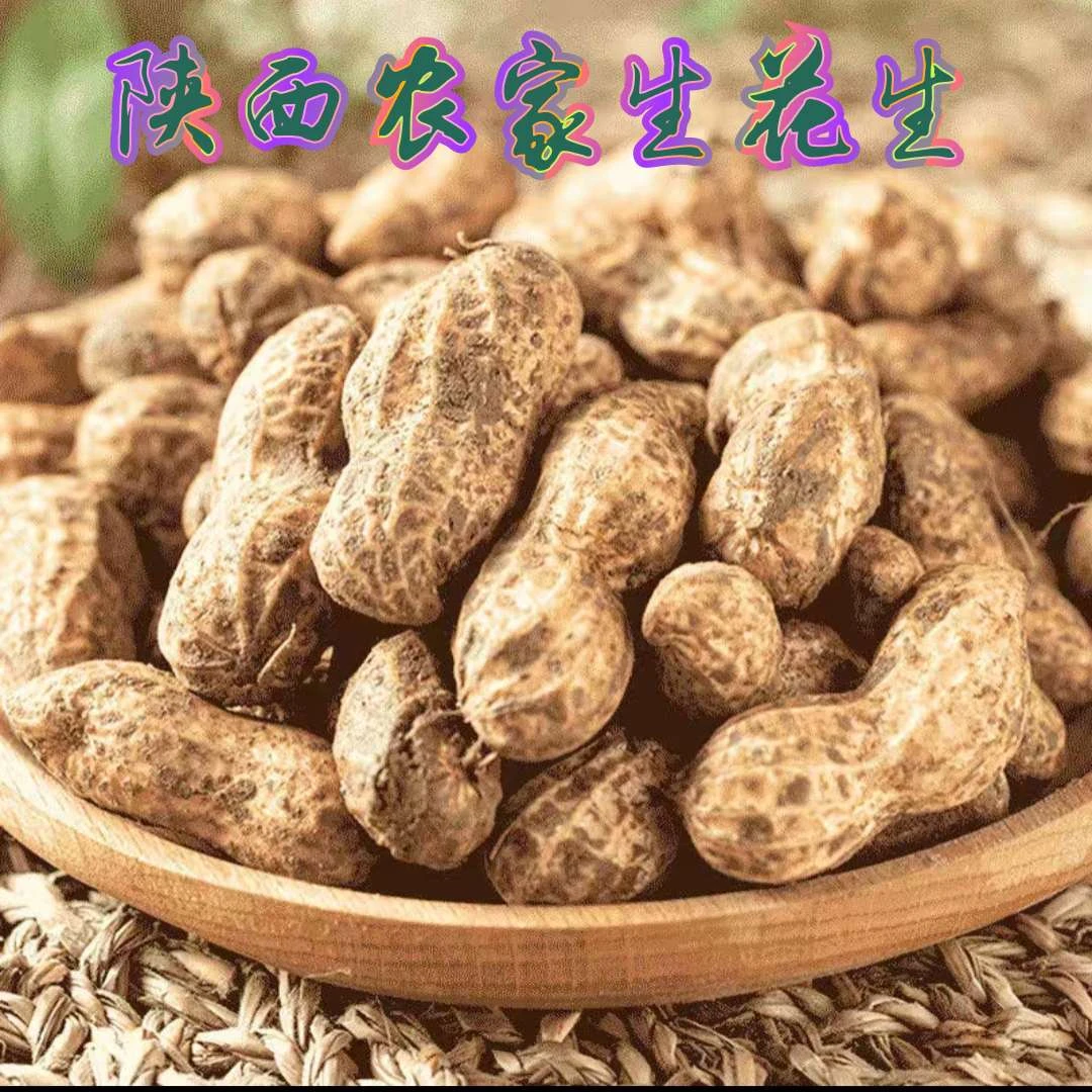 新花生3斤5斤包邮当年鲜花生农产品农家花生颗粒饱满