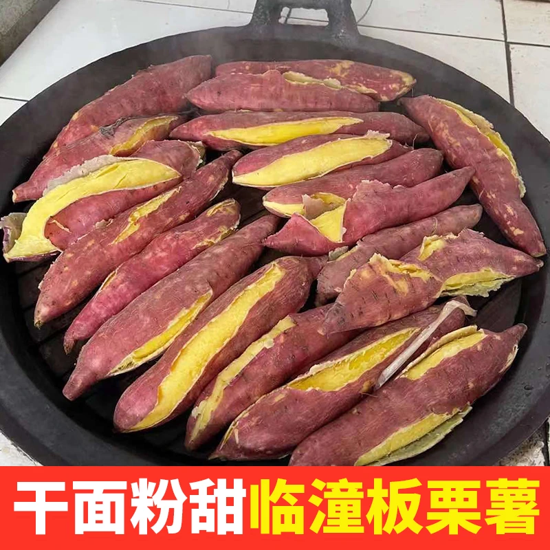 板栗红薯干面粉香甜3斤烤地瓜板栗红薯烟蜜薯粗粮农产品甘甜