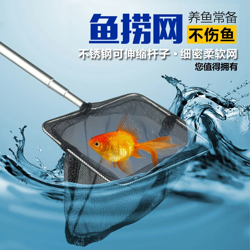 森森鱼缸鱼捞捞鱼不锈钢鱼捞手抄鱼网小金鱼观赏鱼渔捞水族箱虾捞