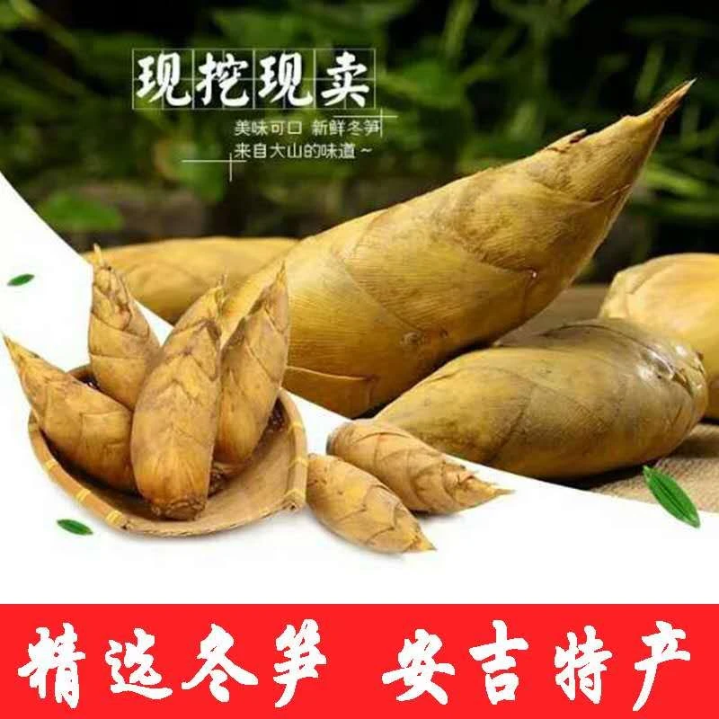 安吉新鲜冬笋现挖鲜甜脆嫩爽口精选5斤10斤装高山野竹笋浙江特产